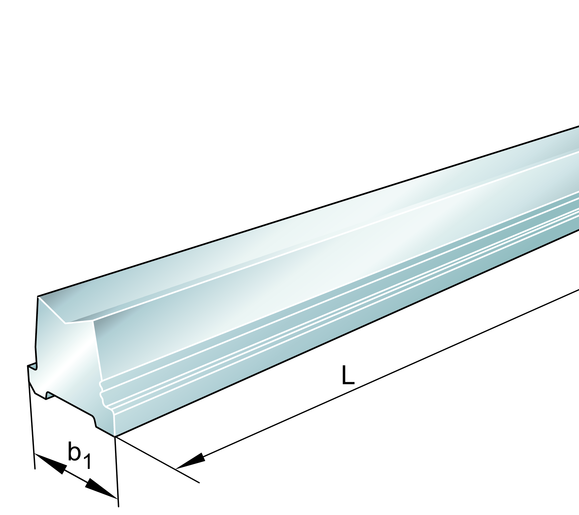 INA TSUZ08 Guideway body, inch sizes view 2