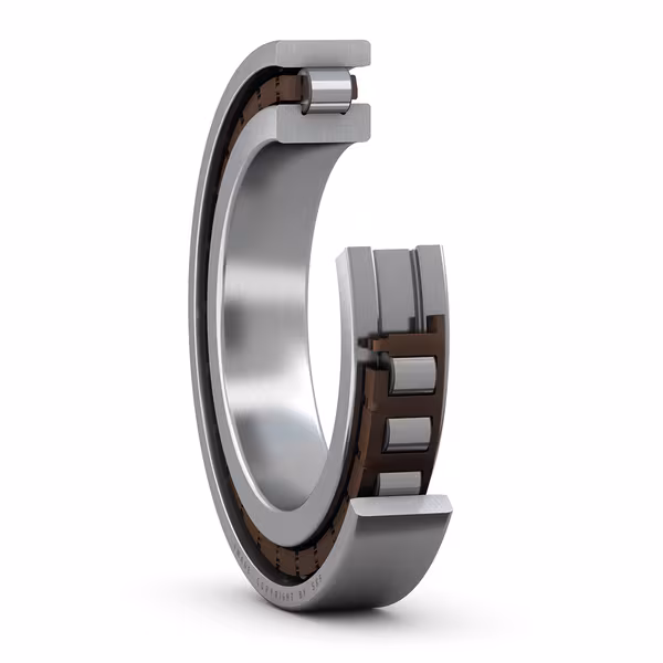 SKF N 1009 TN/SP bearing