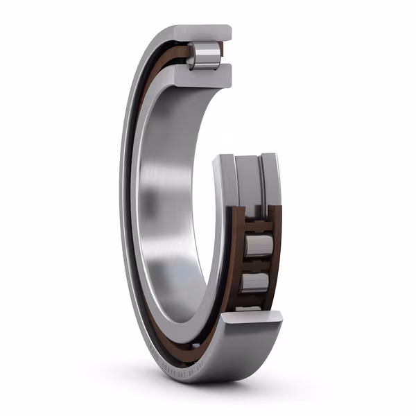 SKF N 1009 KTNHA/SP bearing