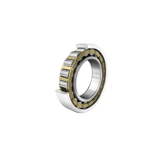 FAG NU209-E-XL-M1-J20GA-H257A-C4 Cylindrical roller bearing view 2