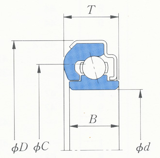 RCT40