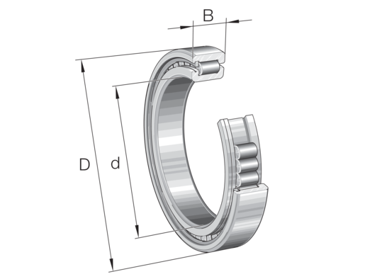 INA SL183009-A-XL Cylindrical roller bearing view 2
