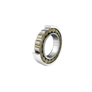 FAG NU209-E-XL-M1-J20GA-H257A-C4 bearing