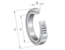 INA SL183009-A-XL Cylindrical roller bearing view 3