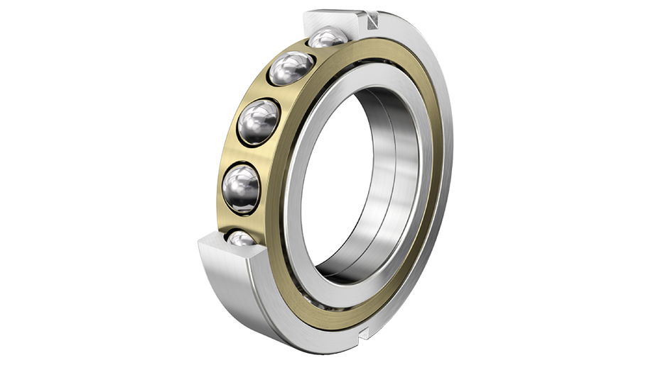 FAG QJ1056-N2-MPA Four-point contact bearing view 2