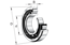 FAG HCNU209-E-XL-TVP2 Cylindrical roller bearing view 3