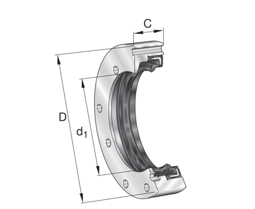 INA DRS2068 Seal carrier Assy view 2