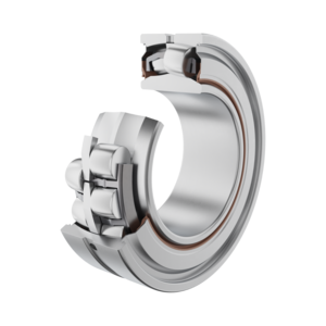 WS22206-E1-XL-2VSR-C4